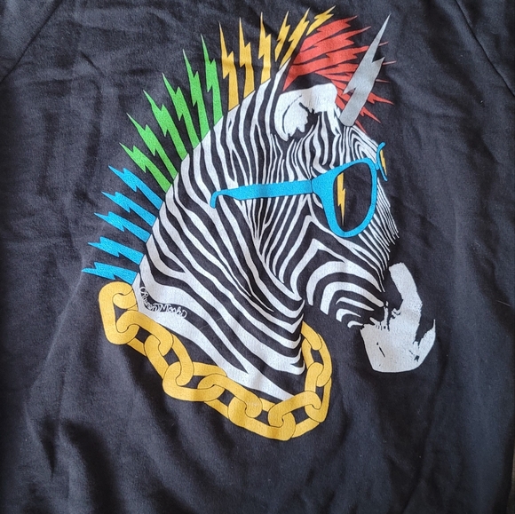 Lauren Moshi Theodora Raglan Boyfriend Hoodie Lightning Zebra in Onyx - Picture 4 of 4